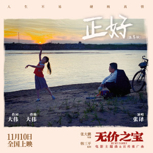 Album 正好 (温柔版) from 张译