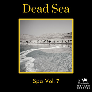 Album Dead Sea: Spa Music, Vol. 7 from 