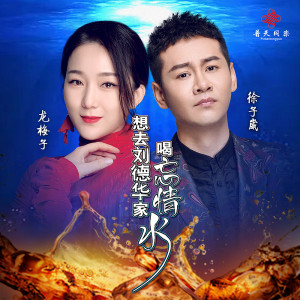 龙梅子的专辑想去刘德华家喝忘情水