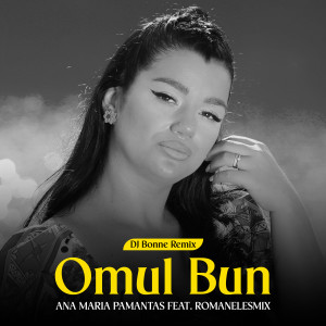 Listen to Omul bun (Dj Bonne Remix) song with lyrics from Pământaș Ana Maria