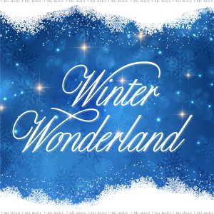 Merry Christmas的專輯Winter Wonderland