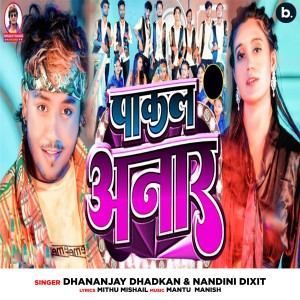 Listen to Pakal Anaar song with lyrics from Dhananjay Dhadkan