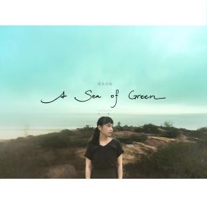 ดาวน์โหลดและฟังเพลง 綠色的海 พร้อมเนื้อเพลงจาก 慈谦