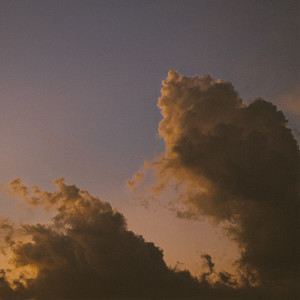 Album Maybe It's Time to Leave. from 