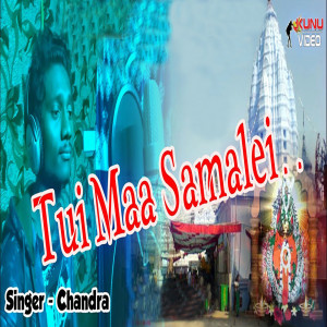 Album Tui Maa Samalei from Chandra Dharua