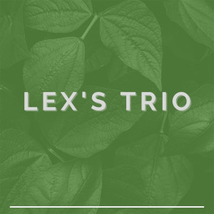 Lex's Trio的專輯Lex's Trio - Hari Ini
