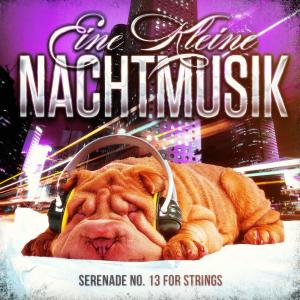 收聽Herbert Von Karajan的Serenade No. 13 for Strings in G Major K. 525, "Eine Kleine Nachtmusik": Romance歌詞歌曲