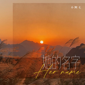 Album 她的名字 oleh 小阿七