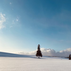 Album Winter from 1226