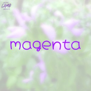 Camo Musiq的專輯Magenta (lo-fi)