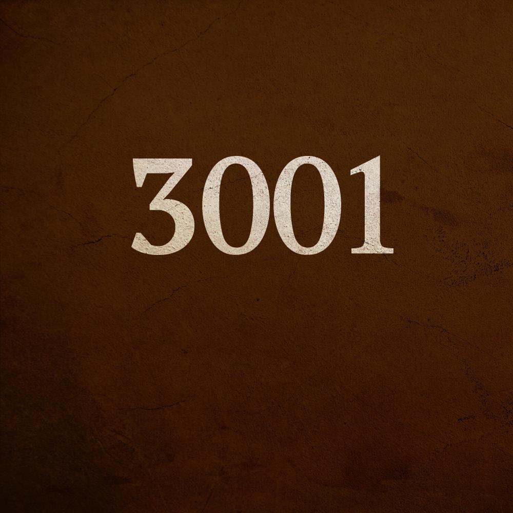 3001