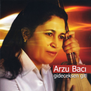 收聽Arzu Bacı的Şehit Mehmetçik歌詞歌曲