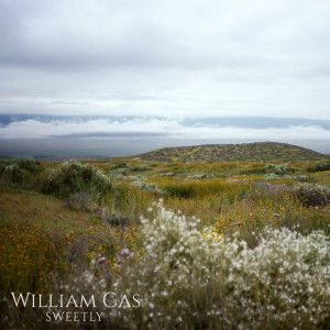 ดาวน์โหลดและฟังเพลง Sweetly พร้อมเนื้อเพลงจาก William Cas