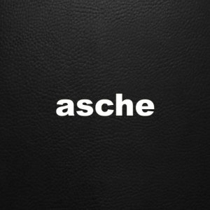 ดาวน์โหลดและฟังเพลง T.V.-Wasted พร้อมเนื้อเพลงจาก Asche