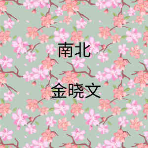 收聽金曉文的南北 (Demo)歌詞歌曲