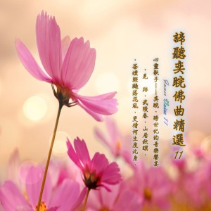 อัลบัม 谛听奕睆佛曲精选11 ศิลปิน 王俊雄