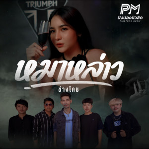 收听ช่างโคช的หมาหล่าว歌词歌曲