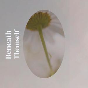 Listen to Laroche Casing song with lyrics from Amaal Ralford