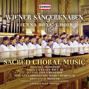 收聽soloist Vienna Boys Choir的Es wird schon glei dumpa歌詞歌曲