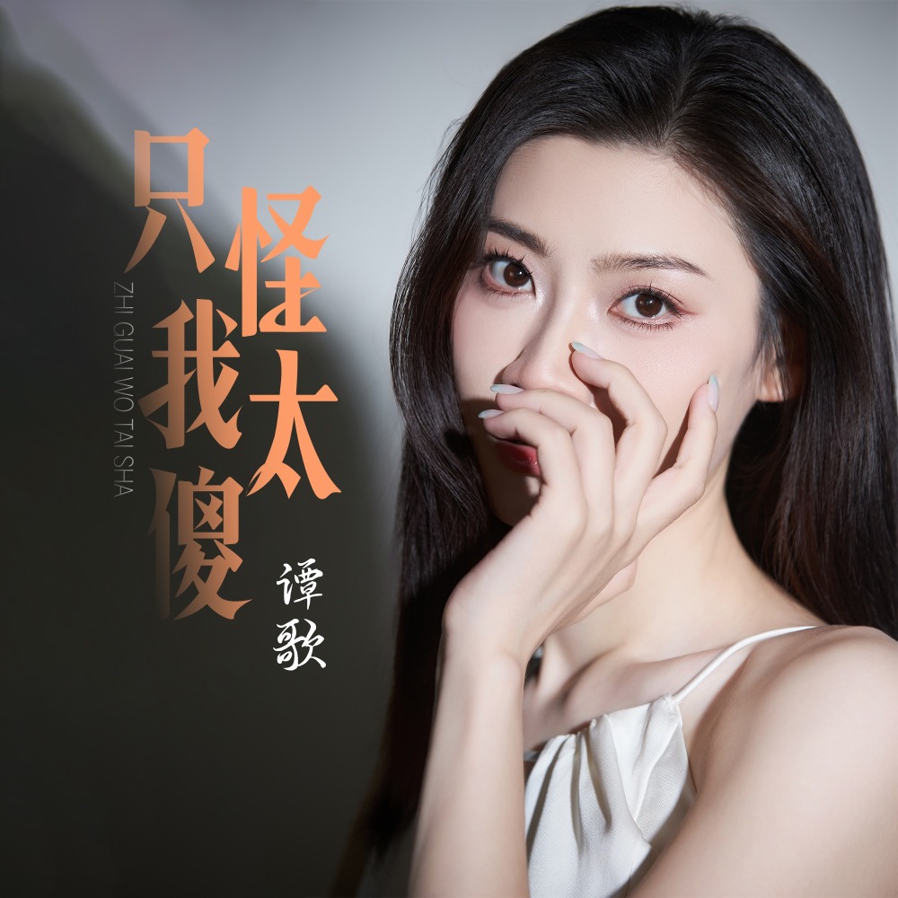只怪我太傻 (伴奏)