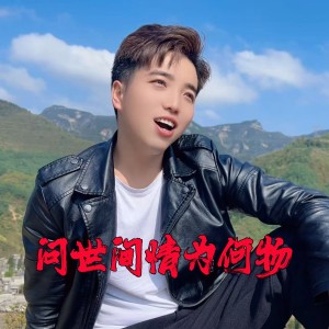 Album 问世间情为何物 from 杨国明
