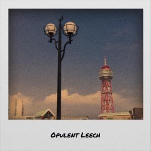Dengarkan lagu Hers Char nyanyian Laary dengan lirik