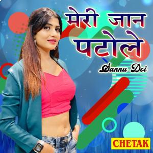 Listen to Meri Jaan Patole song with lyrics from Sannu Doi