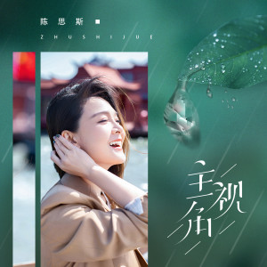 Listen to 主视角 (伴奏) song with lyrics from 陈思斯