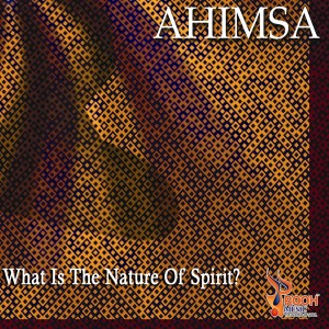 อัลบัม Ahimsa What Is the Nature of Spirit ศิลปิน Matthias Müller