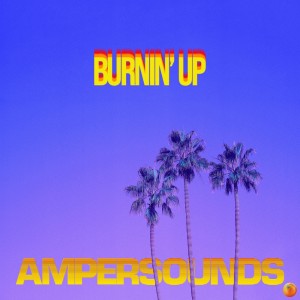อัลบัม Burnin' Up (Original Mix) ศิลปิน Fred Falke