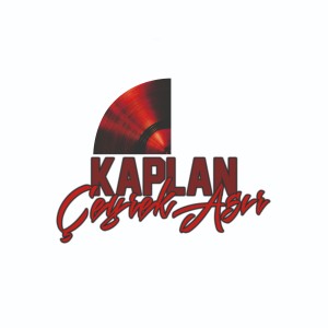 Listen to Bizi Anlamayanlar song with lyrics from Kaplan