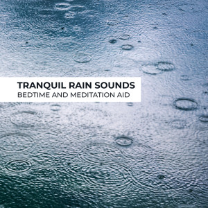 Healing Rain Music Zone的專輯Tranquil Rain Sounds (Bedtime and Meditation Aid)