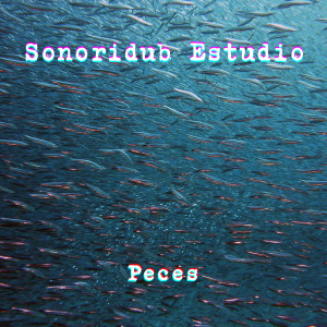 收聽Sonoridub的Peces歌詞歌曲