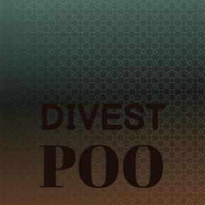 Various Artists的專輯Divest Poo