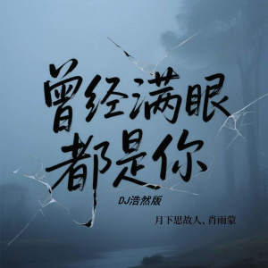 月下思故人的專輯曾經滿眼都是你 (DJ浩然版)