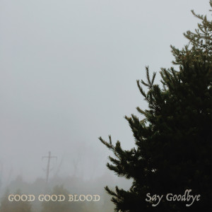收聽Good Good Blood的Say Goodbye歌詞歌曲
