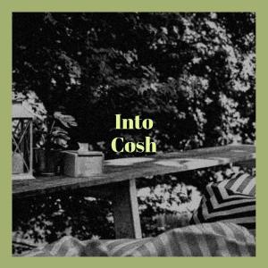 Listen to Into Cosh song with lyrics from Floride Jari