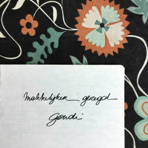 Album Makkelijk Gezegd from Goudi