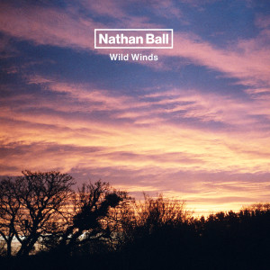 Nathan Ball的专辑Wild Winds