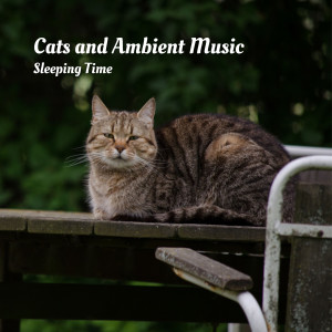 Album Cats and Ambient Music: Sleeping Time oleh Chill My Pooch