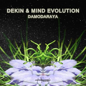 Dekin的專輯Damodaraya