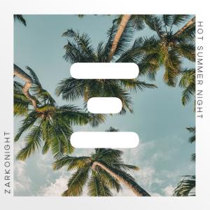 Dengarkan Hot Summer Night (ZarkoNight Remix) lagu dari REO dengan lirik