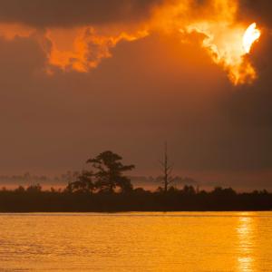 收聽Red Left Hand的Stages歌詞歌曲