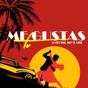 Album ME GUSTAS TU from 