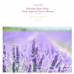收聽Healing Classic的Schubert: An die Musik歌詞歌曲