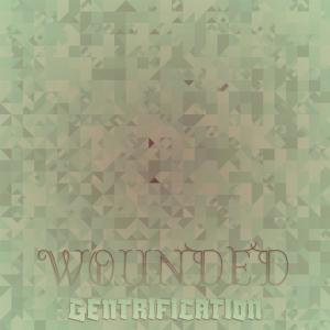 Album Wounded Gentrification oleh Various