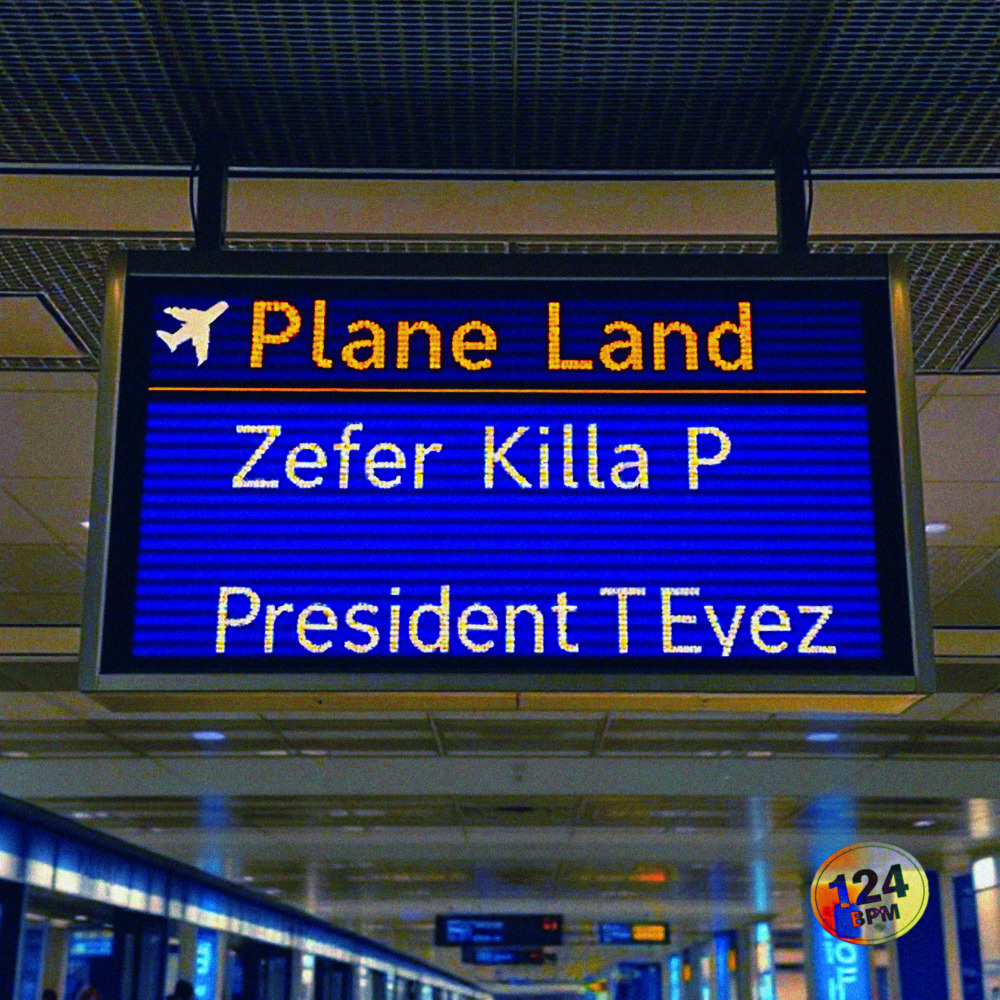 Plane Land
