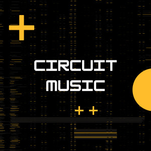 อัลบัม Circuit Music (Explicit) ศิลปิน Tiger King TBL