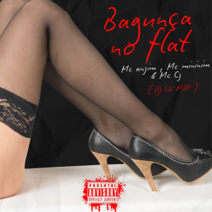 ดาวน์โหลดและฟังเพลง Bagunça no Flat (Explicit) พร้อมเนื้อเพลงจาก Mc Anjim