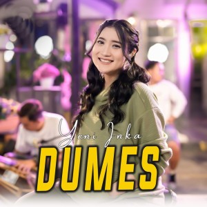收聽Yeni Inka的Dumes歌詞歌曲